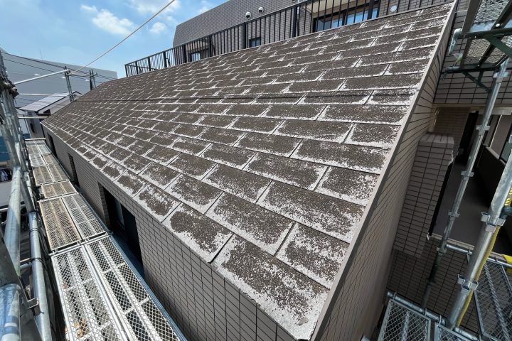 ,つくば市,つくばみらい市,土浦市,阿見町,牛久市,龍ケ崎市,石岡市,稲敷市,牛久市,美浦村,利根町,取手市,守谷市,かすみがうら市,茨城県,番長,屋根葺き替え,工事,建幸番長,屋根工事,屋根,雨樋,修理,外壁,外壁張替工事,リフォーム,カバー工法,内装工事,雨漏り,健康,コロニアル,Tルーフ,シングル屋根,横暖ルーフ,板金屋根,瓦,トタン,スレート,ガルバリウム鋼板,ルーフィング,予防,診断,お家,早期発見,お家のことなら,診断,ディプロマットスター