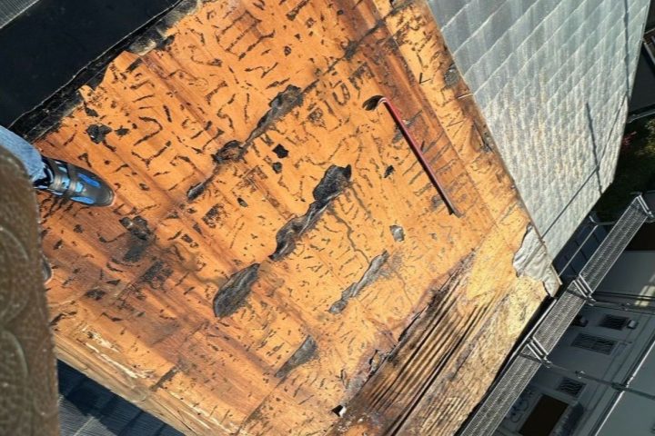 ,つくば市,つくばみらい市,土浦市,阿見町,牛久市,龍ケ崎市,石岡市,稲敷市,牛久市,美浦村,利根町,取手市,守谷市,かすみがうら市,茨城県,番長,屋根葺き替え,工事,建幸番長,屋根工事,屋根,雨樋,修理,外壁,外壁張替工事,リフォーム,カバー工法,内装工事,雨漏り,健康,コロニアル,Tルーフ,シングル屋根,横暖ルーフ,板金屋根,瓦,トタン,スレート,ガルバリウム鋼板,ルーフィング,予防,診断,お家,早期発見,お家のことなら,診断,ディプロマットスター