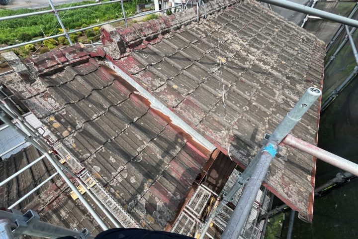 ,つくば市,つくばみらい市,土浦市,阿見町,牛久市,龍ケ崎市,石岡市,稲敷市,牛久市,美浦村,利根町,取手市,守谷市,かすみがうら市,茨城県,番長,屋根葺き替え,工事,建幸番長,屋根工事,屋根,雨樋,修理,外壁,外壁張替工事,リフォーム,カバー工法,内装工事,雨漏り,健康,コロニアル,Tルーフ,シングル屋根,横暖ルーフ,板金屋根,瓦,トタン,スレート,ガルバリウム鋼板,ルーフィング,予防,診断,お家,早期発見,お家のことなら,診断,ディプロマットスター