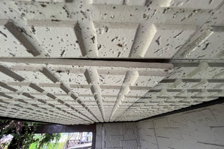 ,つくば市,つくばみらい市,土浦市,阿見町,牛久市,龍ケ崎市,石岡市,稲敷市,牛久市,美浦村,利根町,取手市,守谷市,かすみがうら市,茨城県,番長,屋根葺き替え,工事,建幸番長,屋根工事,屋根,雨樋,修理,外壁,外壁張替工事,リフォーム,カバー工法,内装工事,雨漏り,健康,コロニアル,Tルーフ,シングル屋根,横暖ルーフ,板金屋根,瓦,トタン,スレート,ガルバリウム鋼板,ルーフィング,予防,診断,お家,早期発見,お家のことなら,診断,ディプロマットスター