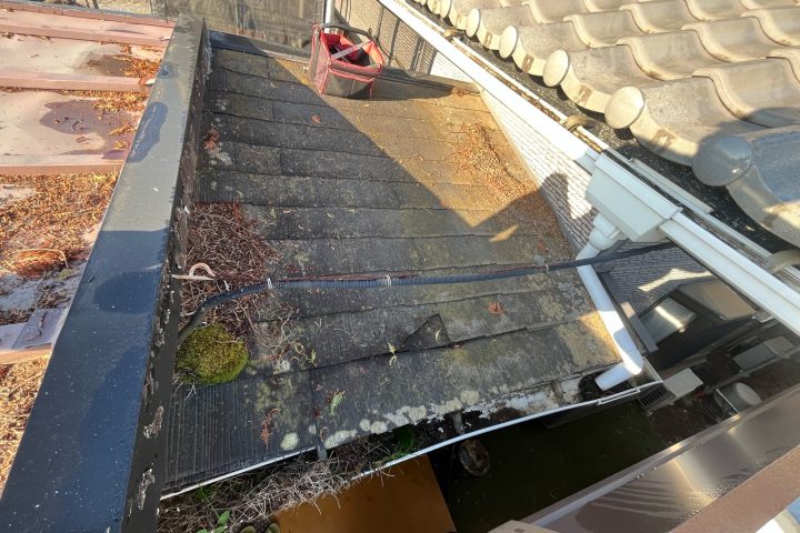 ,つくば市,つくばみらい市,土浦市,阿見町,牛久市,龍ケ崎市,石岡市,稲敷市,牛久市,美浦村,利根町,取手市,守谷市,かすみがうら市,茨城県,番長,屋根葺き替え,工事,建幸番長,屋根工事,屋根,雨樋,修理,外壁,外壁張替工事,リフォーム,カバー工法,内装工事,雨漏り,健康,コロニアル,Tルーフ,シングル屋根,横暖ルーフ,板金屋根,瓦,トタン,スレート,ガルバリウム鋼板,ルーフィング,予防,診断,お家,早期発見,お家のことなら,診断,ディプロマットスター