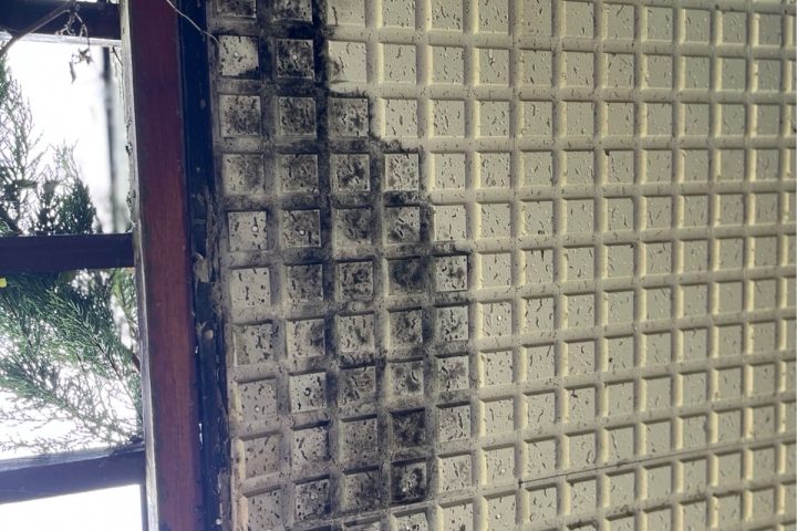 ,つくば市,つくばみらい市,土浦市,阿見町,牛久市,龍ケ崎市,石岡市,稲敷市,牛久市,美浦村,利根町,取手市,守谷市,かすみがうら市,茨城県,番長,屋根葺き替え,工事,建幸番長,屋根工事,屋根,雨樋,修理,外壁,外壁張替工事,リフォーム,カバー工法,内装工事,雨漏り,健康,コロニアル,Tルーフ,シングル屋根,横暖ルーフ,板金屋根,瓦,トタン,スレート,ガルバリウム鋼板,ルーフィング,予防,診断,お家,早期発見,お家のことなら,診断,ディプロマットスター