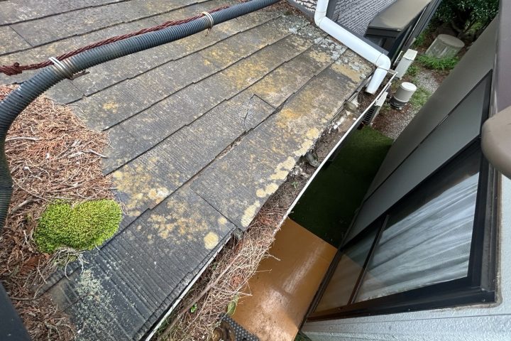 ,つくば市,つくばみらい市,土浦市,阿見町,牛久市,龍ケ崎市,石岡市,稲敷市,牛久市,美浦村,利根町,取手市,守谷市,かすみがうら市,茨城県,番長,屋根葺き替え,工事,建幸番長,屋根工事,屋根,雨樋,修理,外壁,外壁張替工事,リフォーム,カバー工法,内装工事,雨漏り,健康,コロニアル,Tルーフ,シングル屋根,横暖ルーフ,板金屋根,瓦,トタン,スレート,ガルバリウム鋼板,ルーフィング,予防,診断,お家,早期発見,お家のことなら,診断,ディプロマットスター