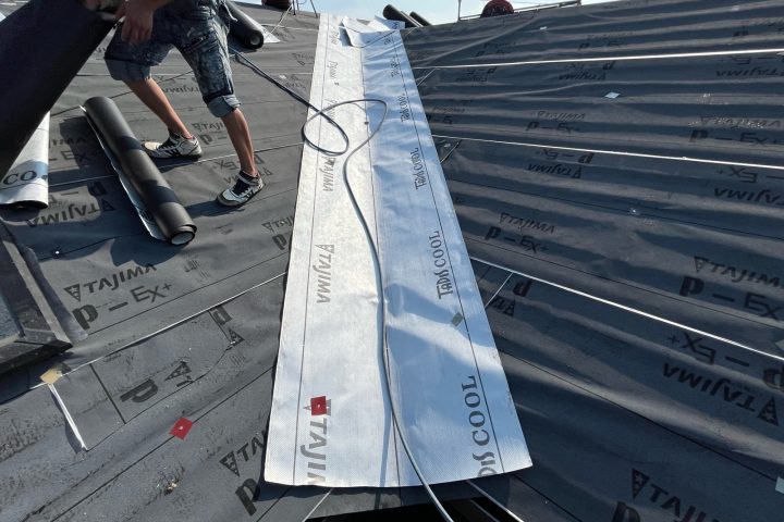 ,つくば市,つくばみらい市,土浦市,阿見町,牛久市,龍ケ崎市,石岡市,稲敷市,牛久市,美浦村,利根町,取手市,守谷市,かすみがうら市,茨城県,番長,屋根葺き替え,工事,建幸番長,屋根工事,屋根,雨樋,修理,外壁,外壁張替工事,リフォーム,カバー工法,内装工事,雨漏り,健康,コロニアル,Tルーフ,シングル屋根,横暖ルーフ,板金屋根,瓦,トタン,スレート,ガルバリウム鋼板,ルーフィング,予防,診断,お家,早期発見,お家のことなら,診断,ディプロマットスター