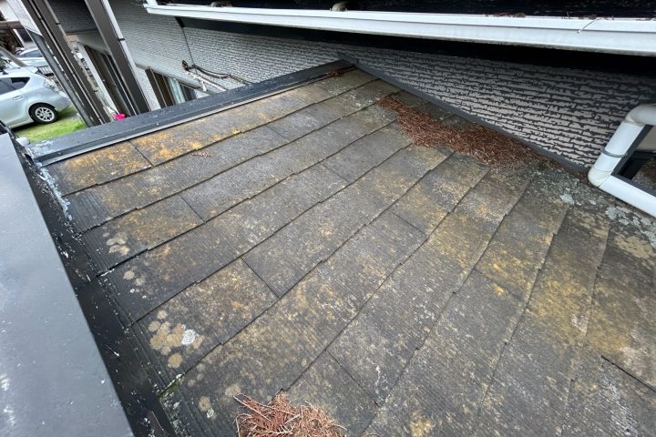 ,つくば市,つくばみらい市,土浦市,阿見町,牛久市,龍ケ崎市,石岡市,稲敷市,牛久市,美浦村,利根町,取手市,守谷市,かすみがうら市,茨城県,番長,屋根葺き替え,工事,建幸番長,屋根工事,屋根,雨樋,修理,外壁,外壁張替工事,リフォーム,カバー工法,内装工事,雨漏り,健康,コロニアル,Tルーフ,シングル屋根,横暖ルーフ,板金屋根,瓦,トタン,スレート,ガルバリウム鋼板,ルーフィング,予防,診断,お家,早期発見,お家のことなら,診断,ディプロマットスター